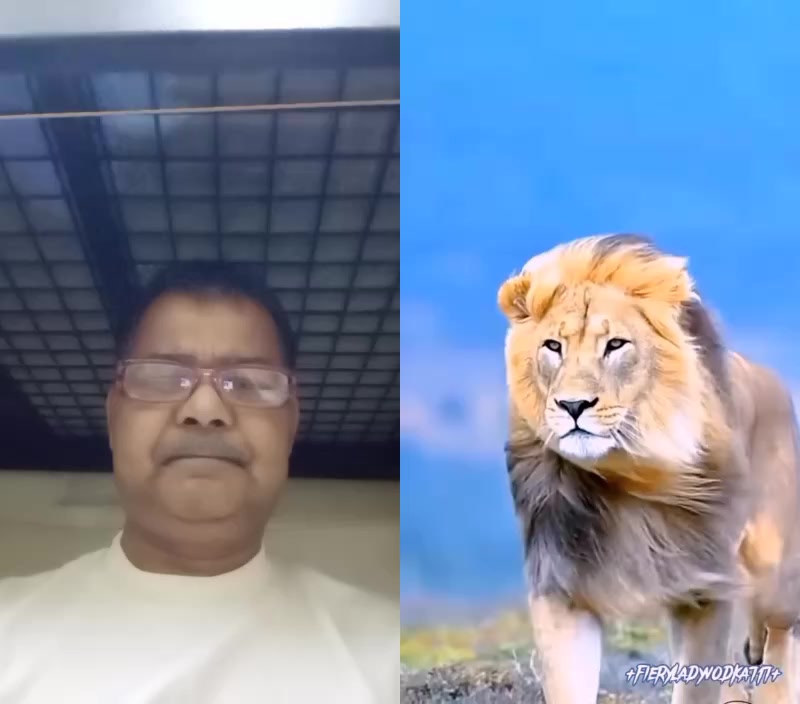@mdakbar1231