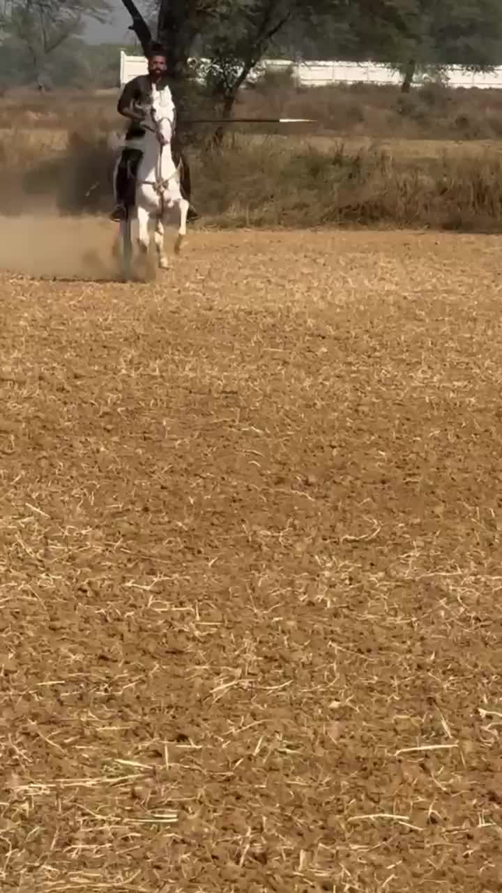 @Rai Asif Hayat khayalika
