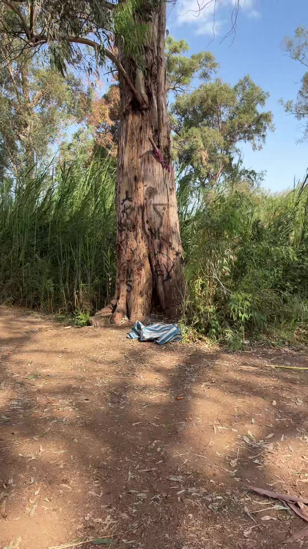 @אשכול פרס🪬🤩😎