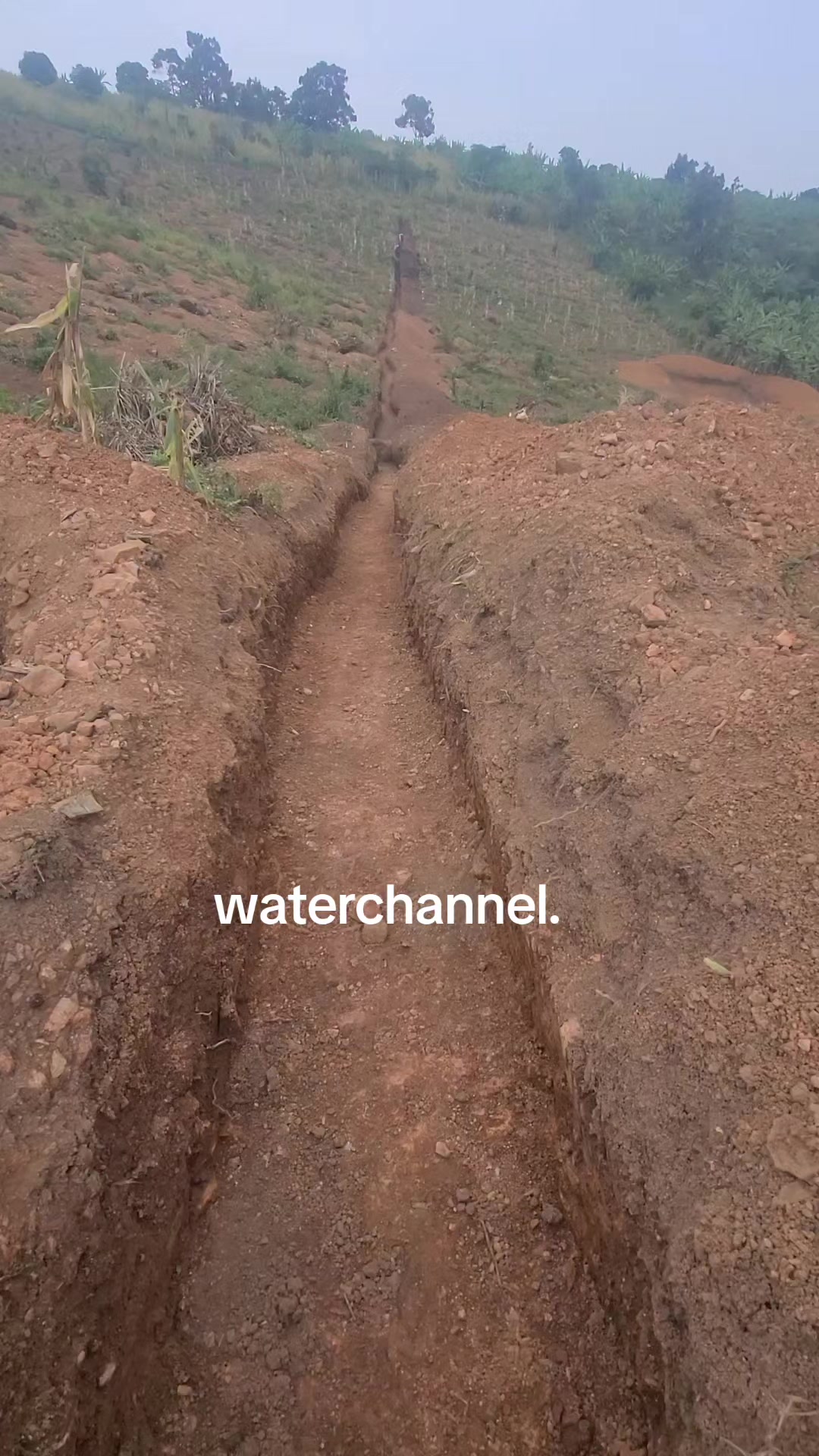 @Lubega