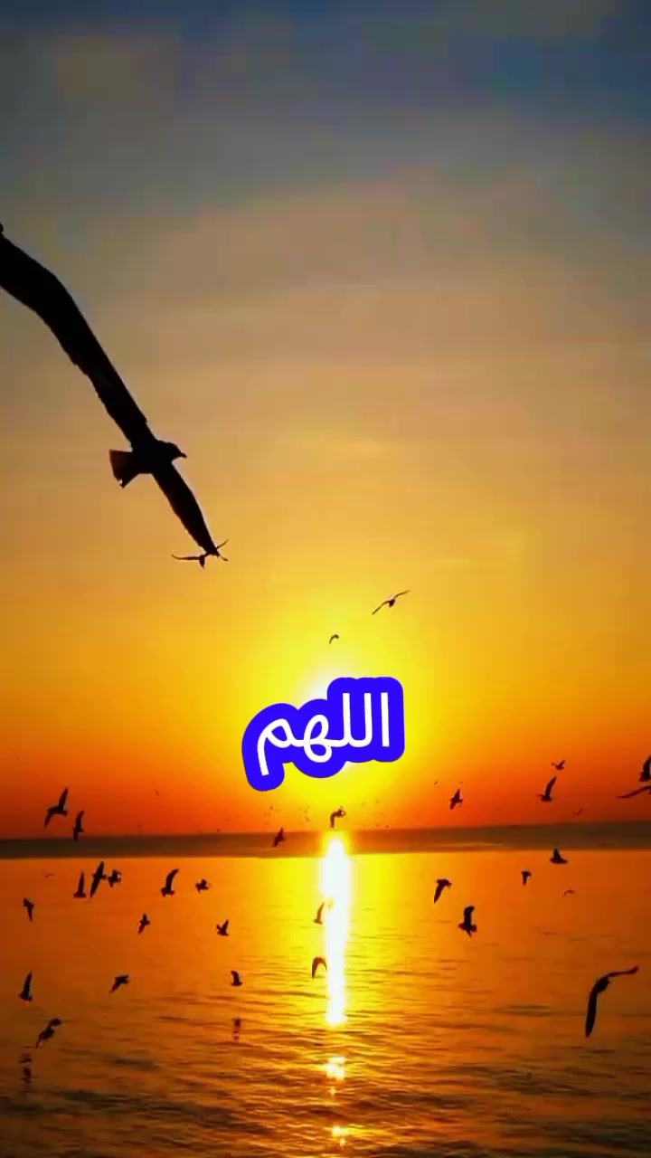 @๐ธ๐๐๐๐๐๐_๐ธ๐๐๐