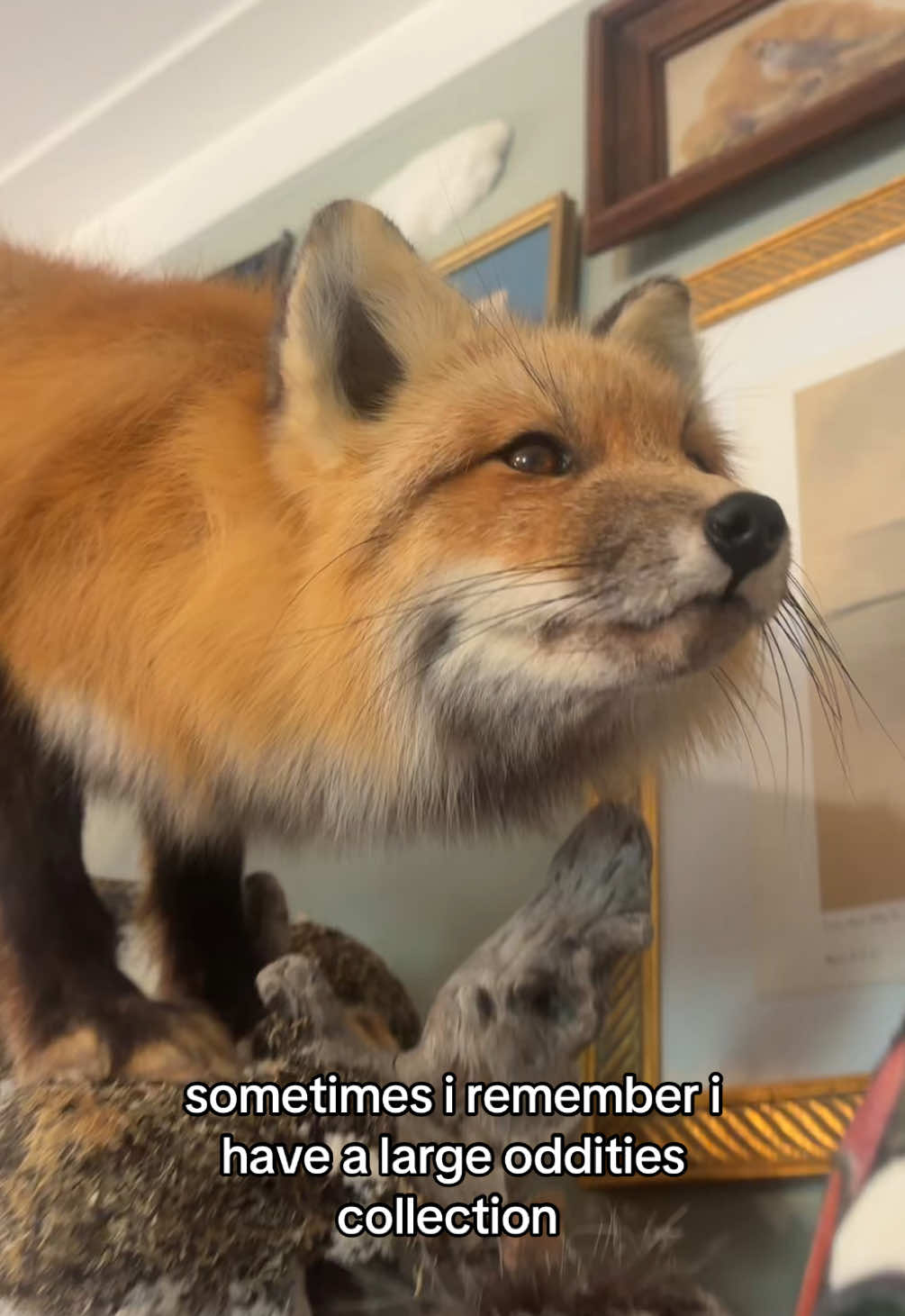 @mar