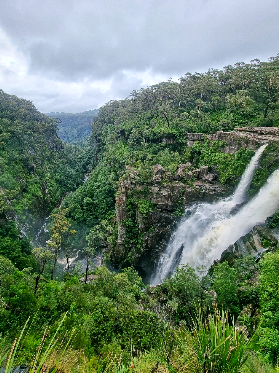 @Nature Love Australia ๐ด