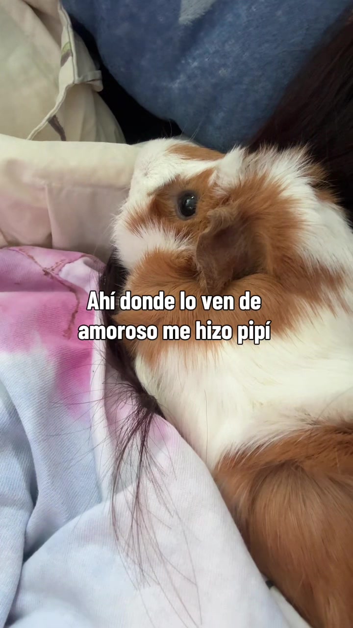 @Grecia Ramirez