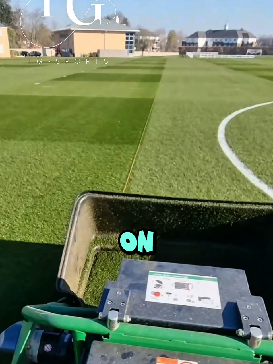@TG Sports 🥏