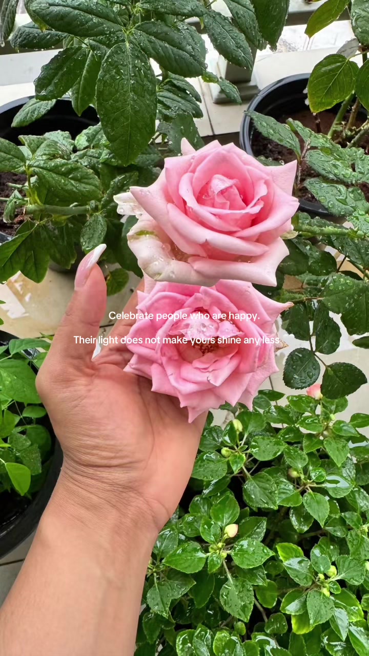 @neshapereraa 🧿