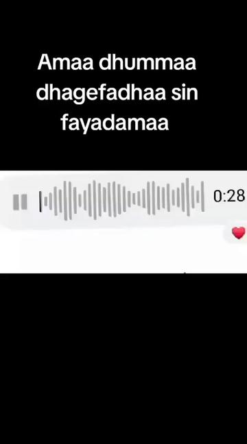 @qaliii muccaaa gerraa 💋💋💋💋