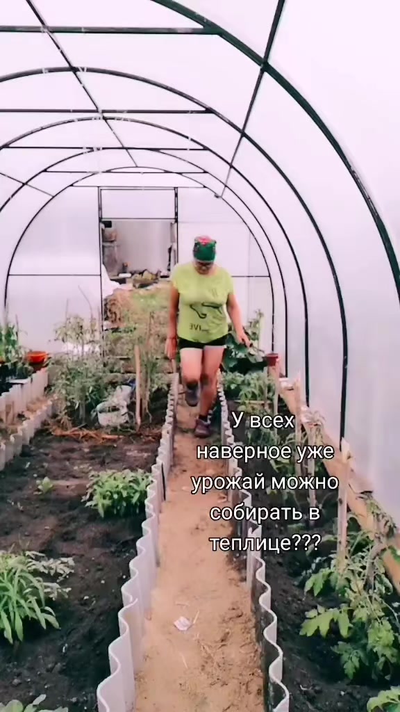 @Алёнушка