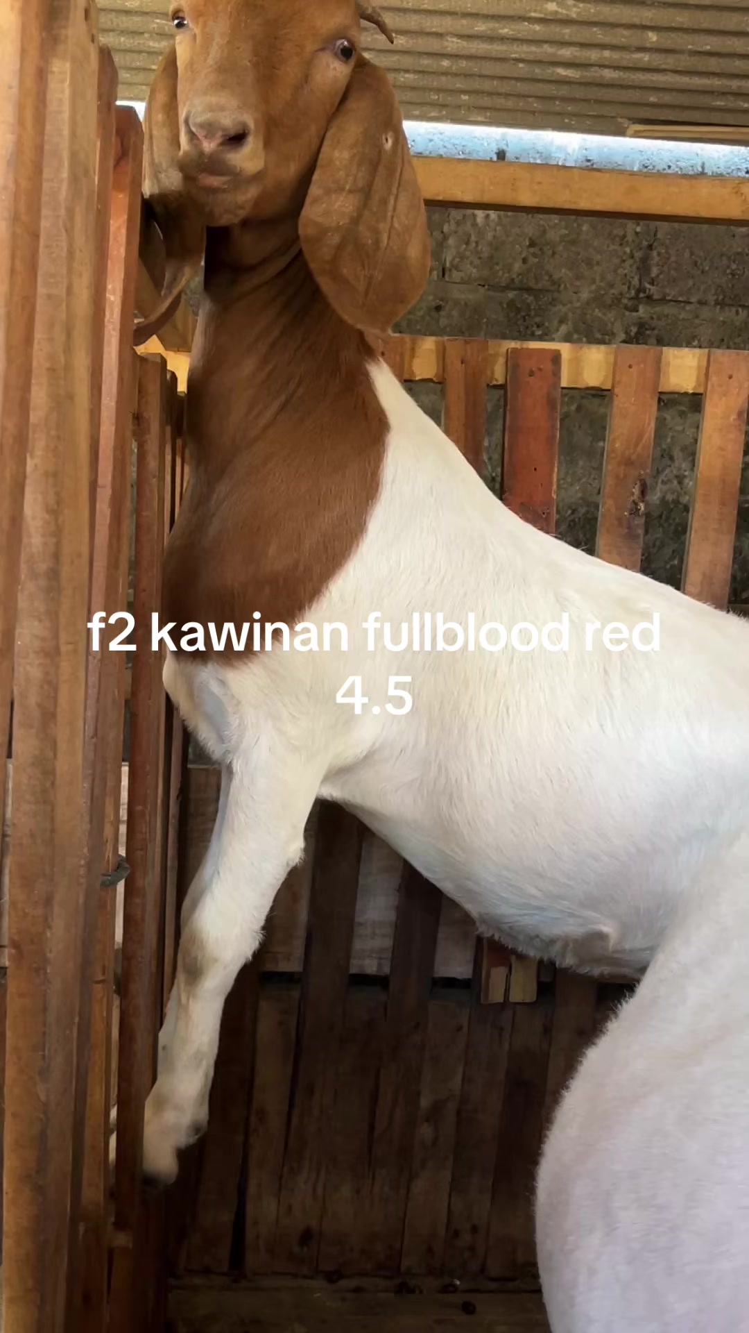 @ALVARIS FARM