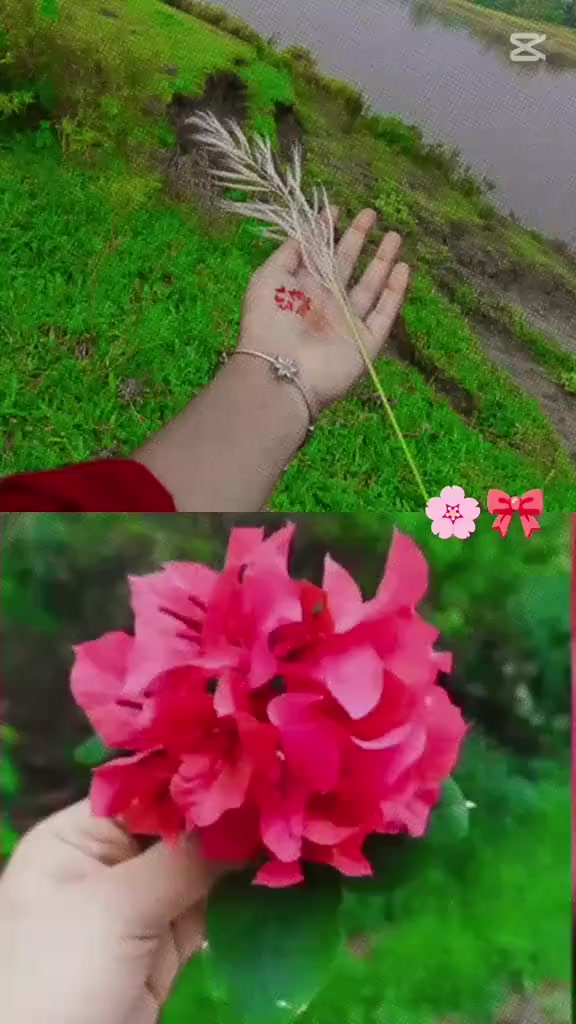 @⏤͟͟͞͞★𝐍𝐎𝐃𝐈 🕊️.⋆