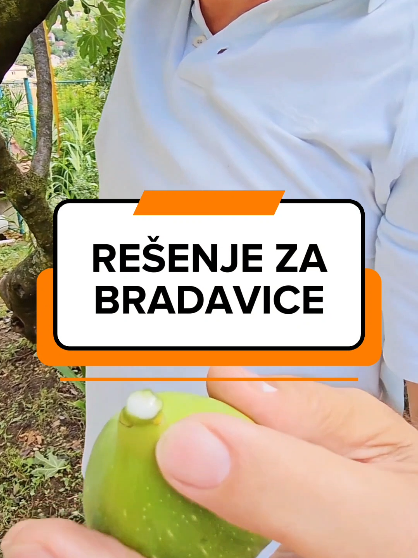 @Dejan Dragićević