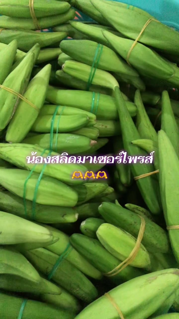 @🌿เจ๊ต่าย ขายผักป่าผักบ้าน🌿