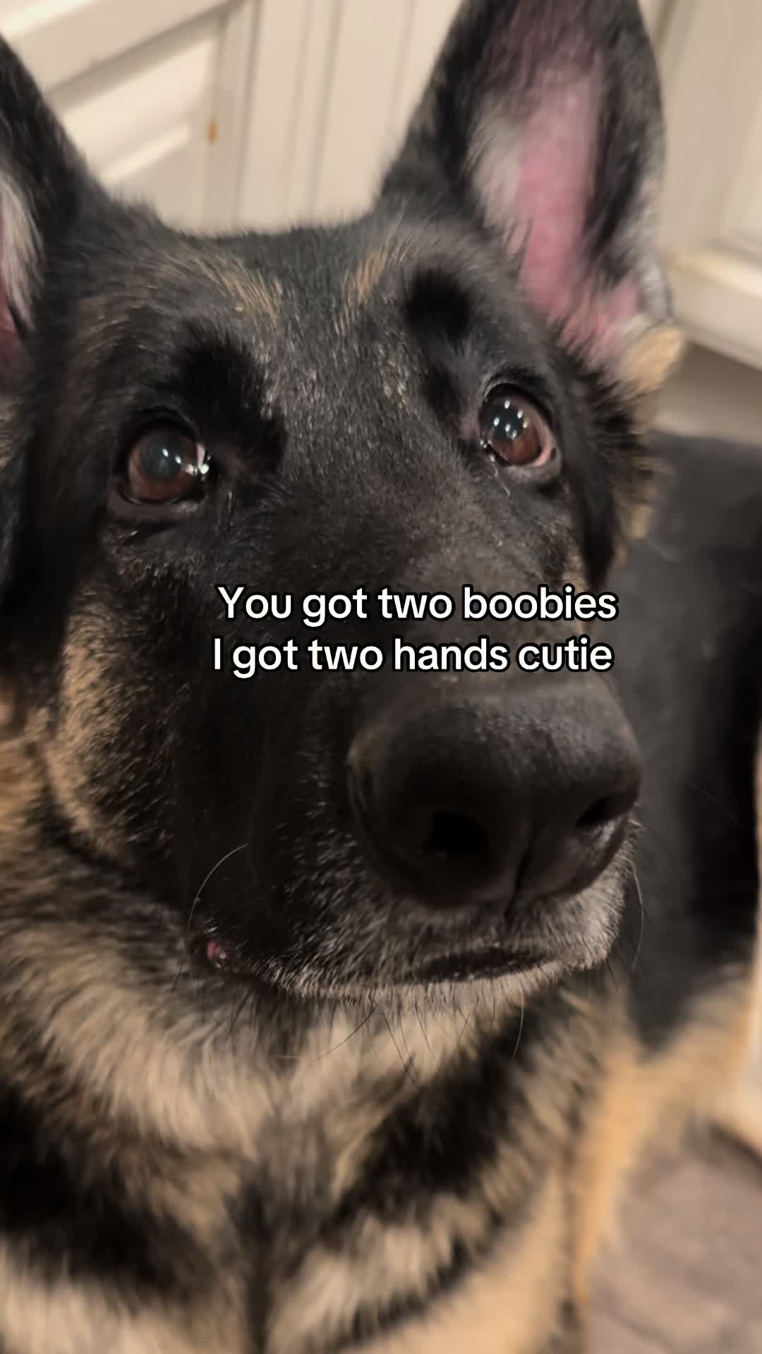 @Bhris