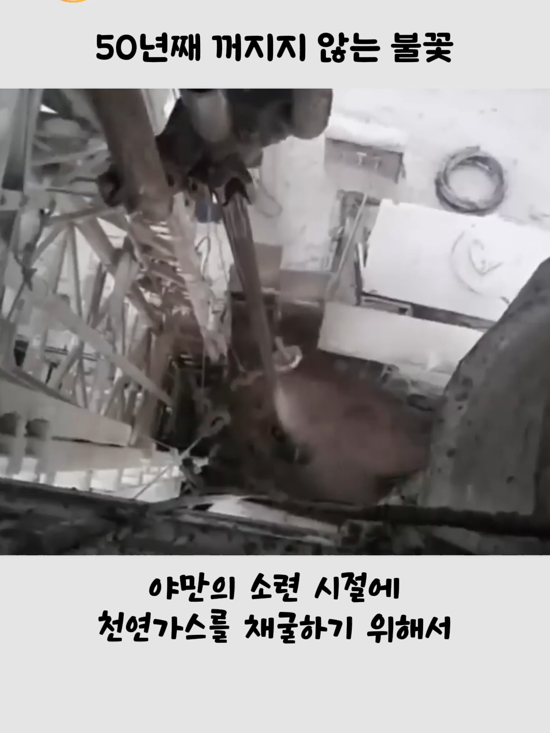 @호랑구팔