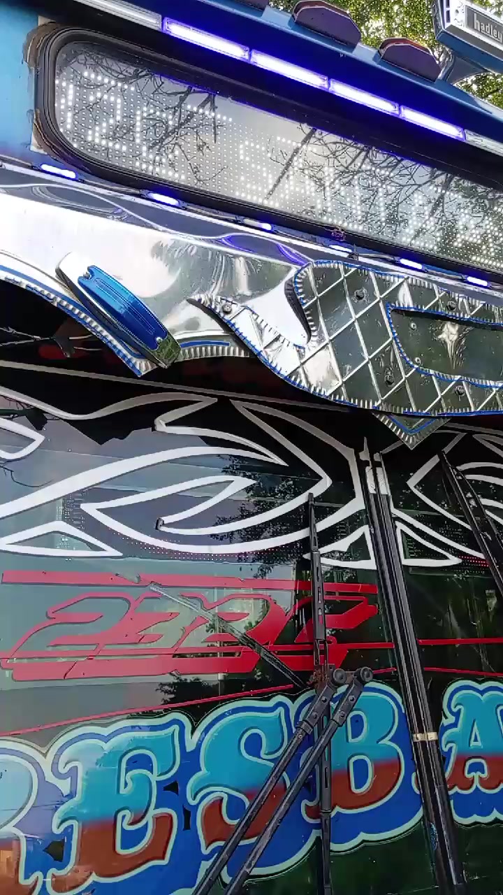 @buses elegantes 503