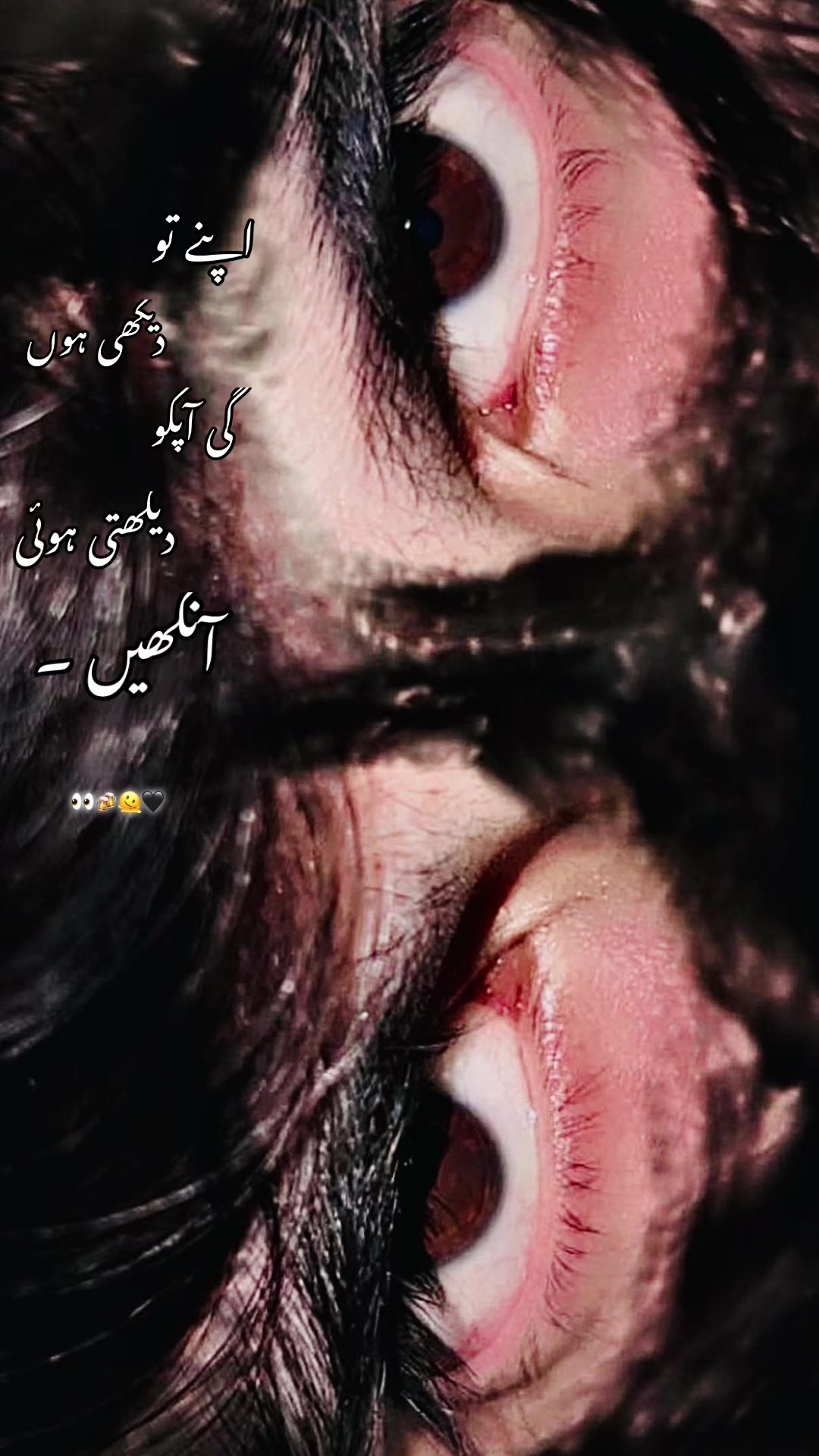 @شیر 🦁