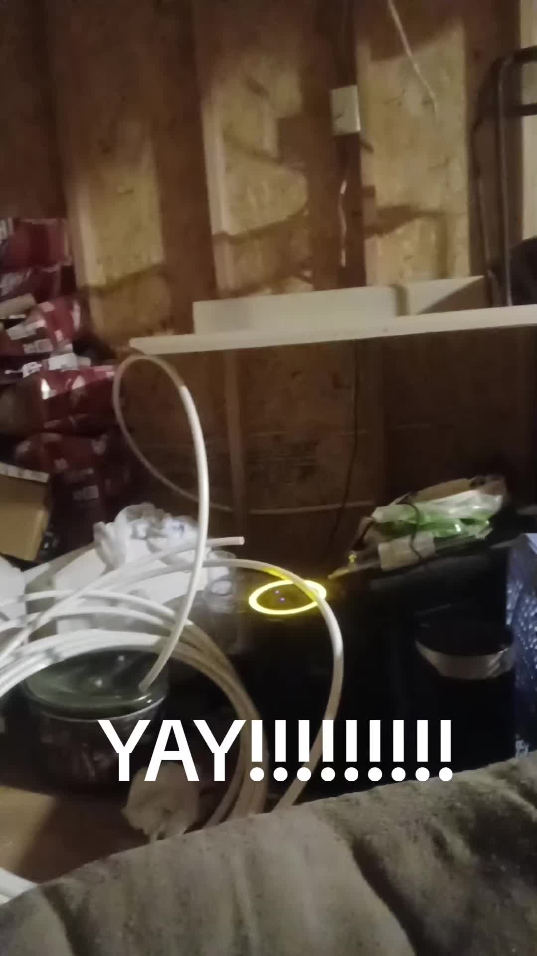 @BOB