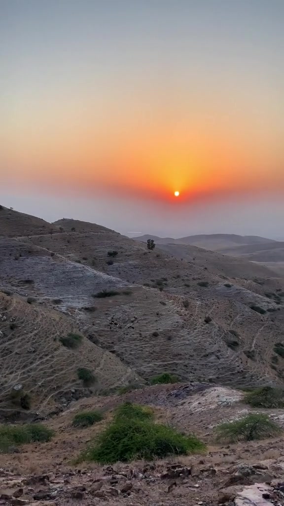 @عناد