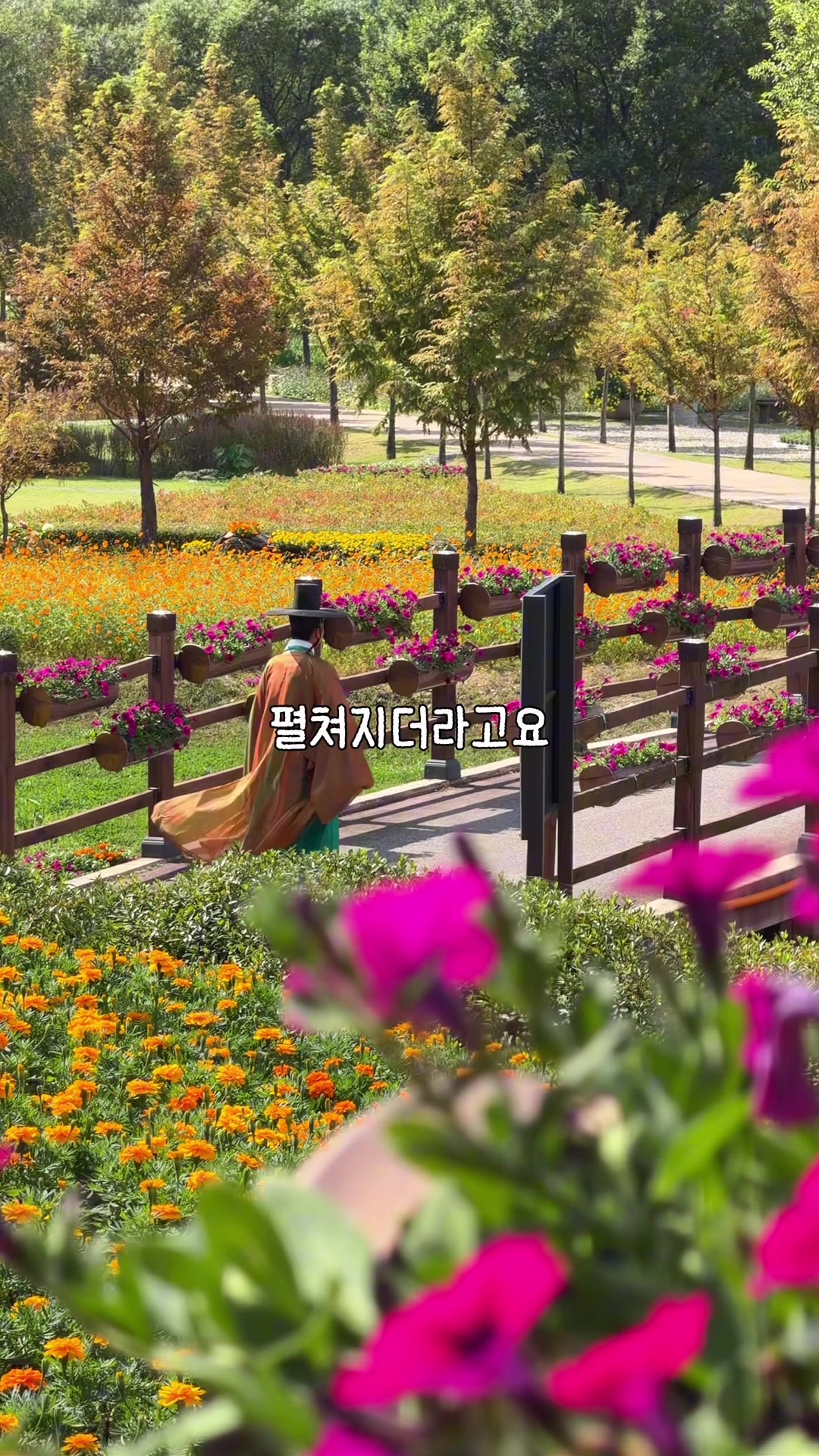@traveler_jin