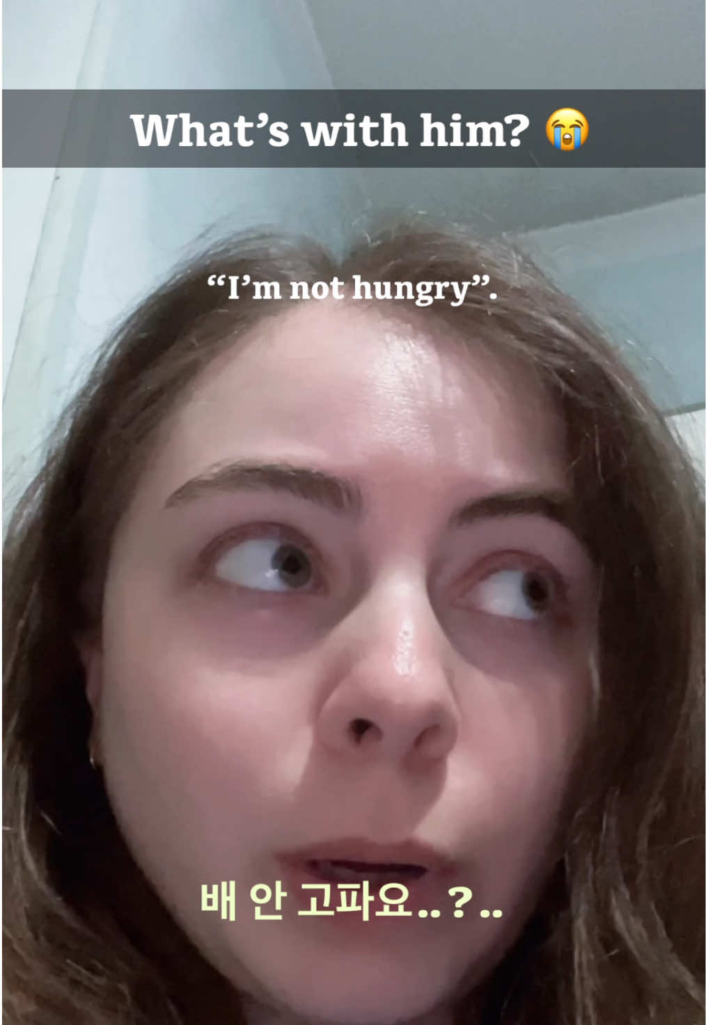 @Hangulbear