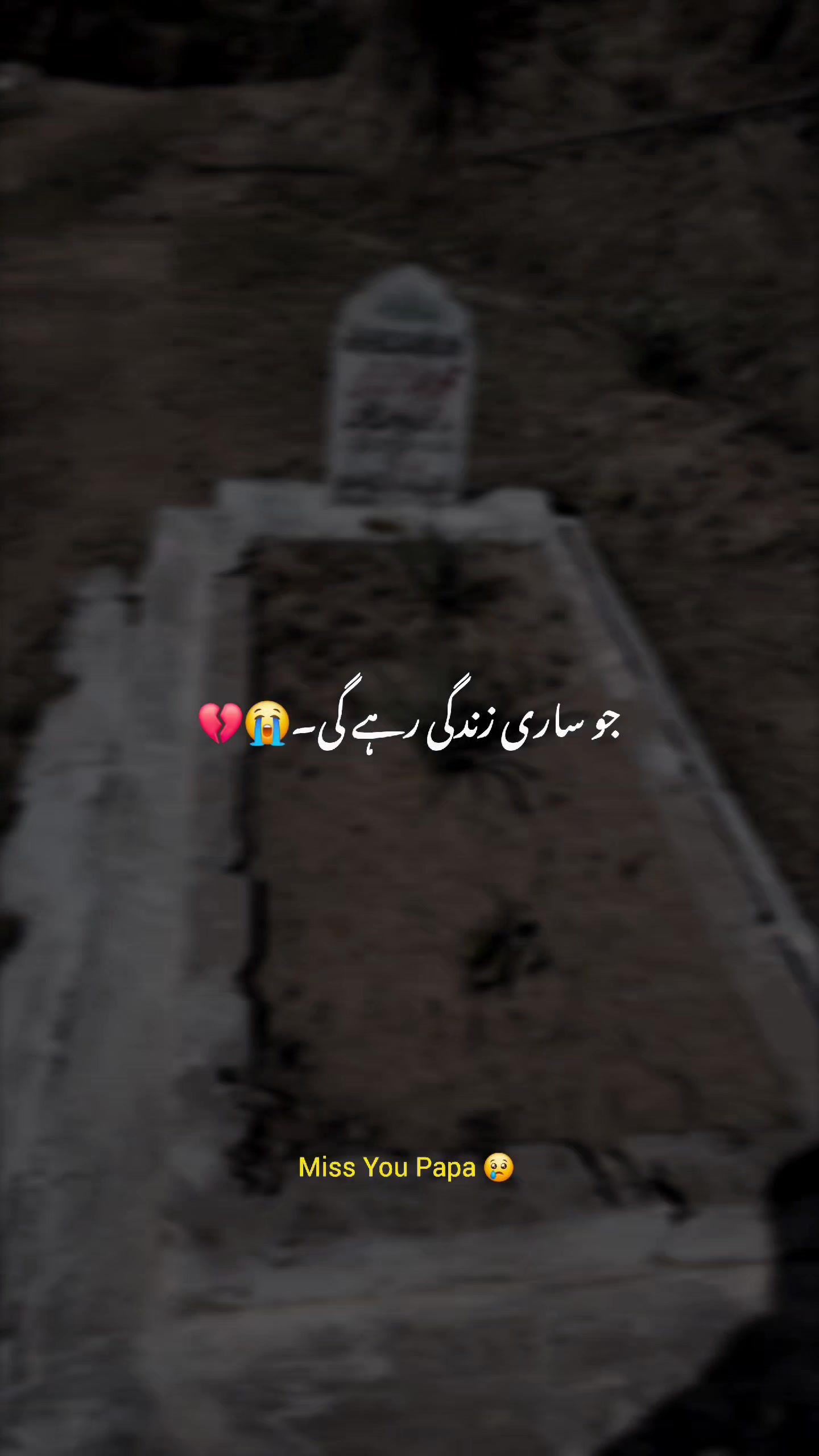 @Ubaid Abbasi ⚜️
