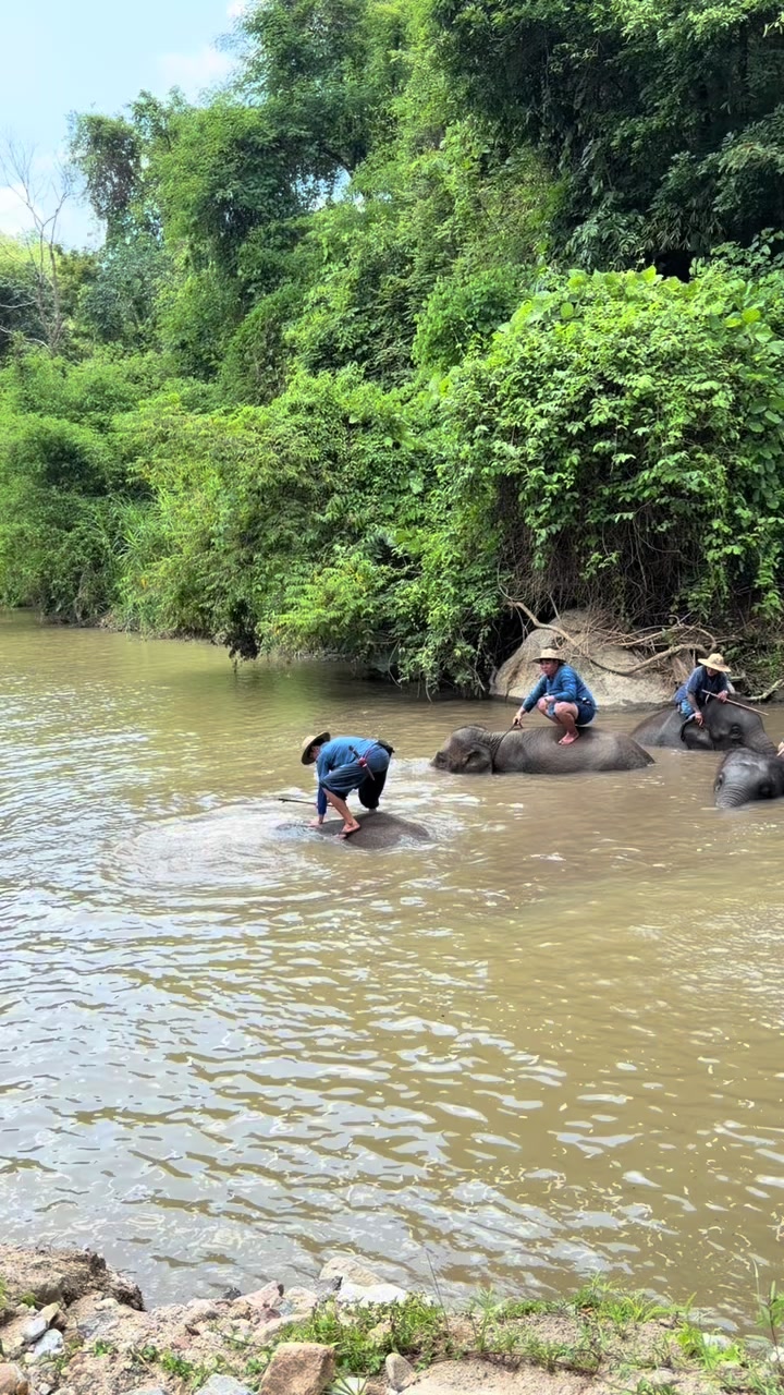 @Qvy Boonchanawiwat