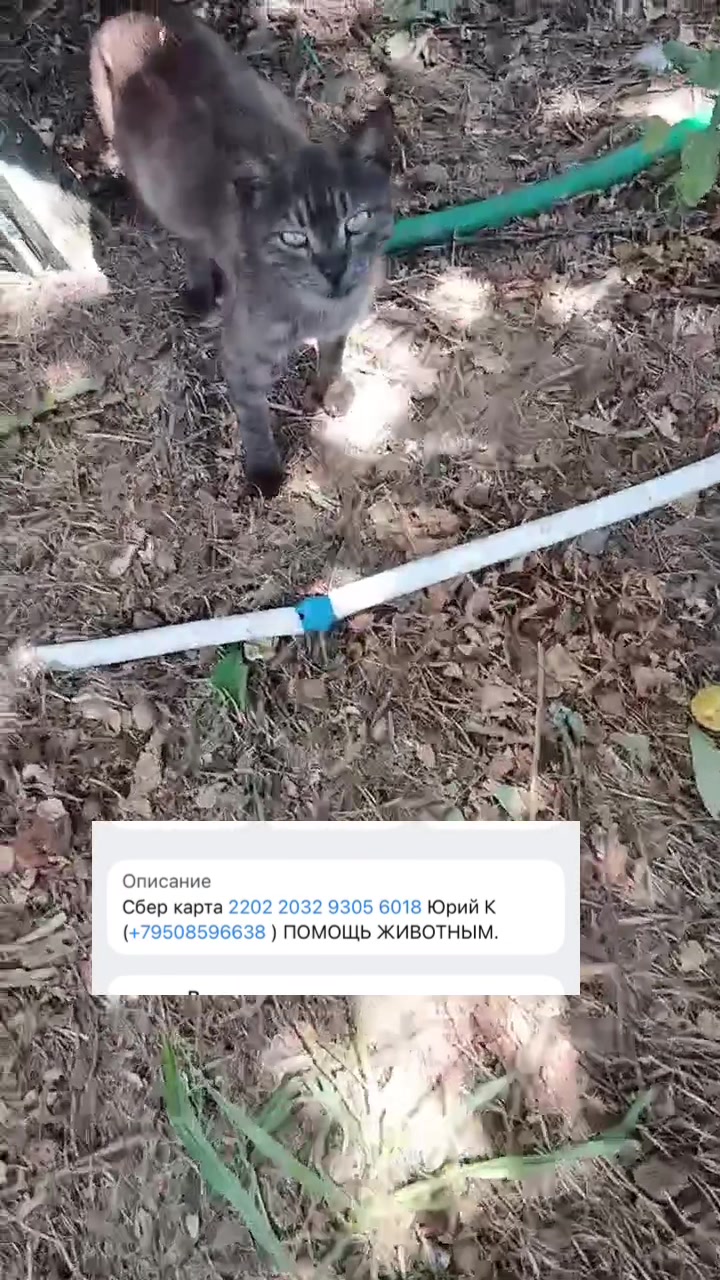 @Семейный Хуторок