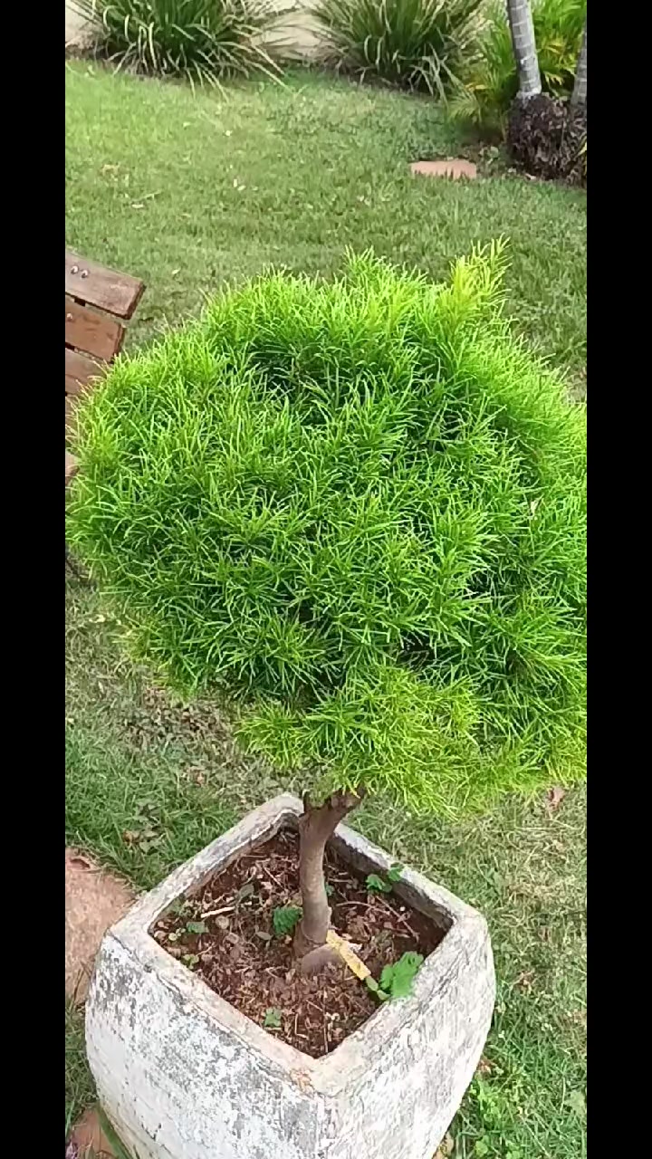 @Maria