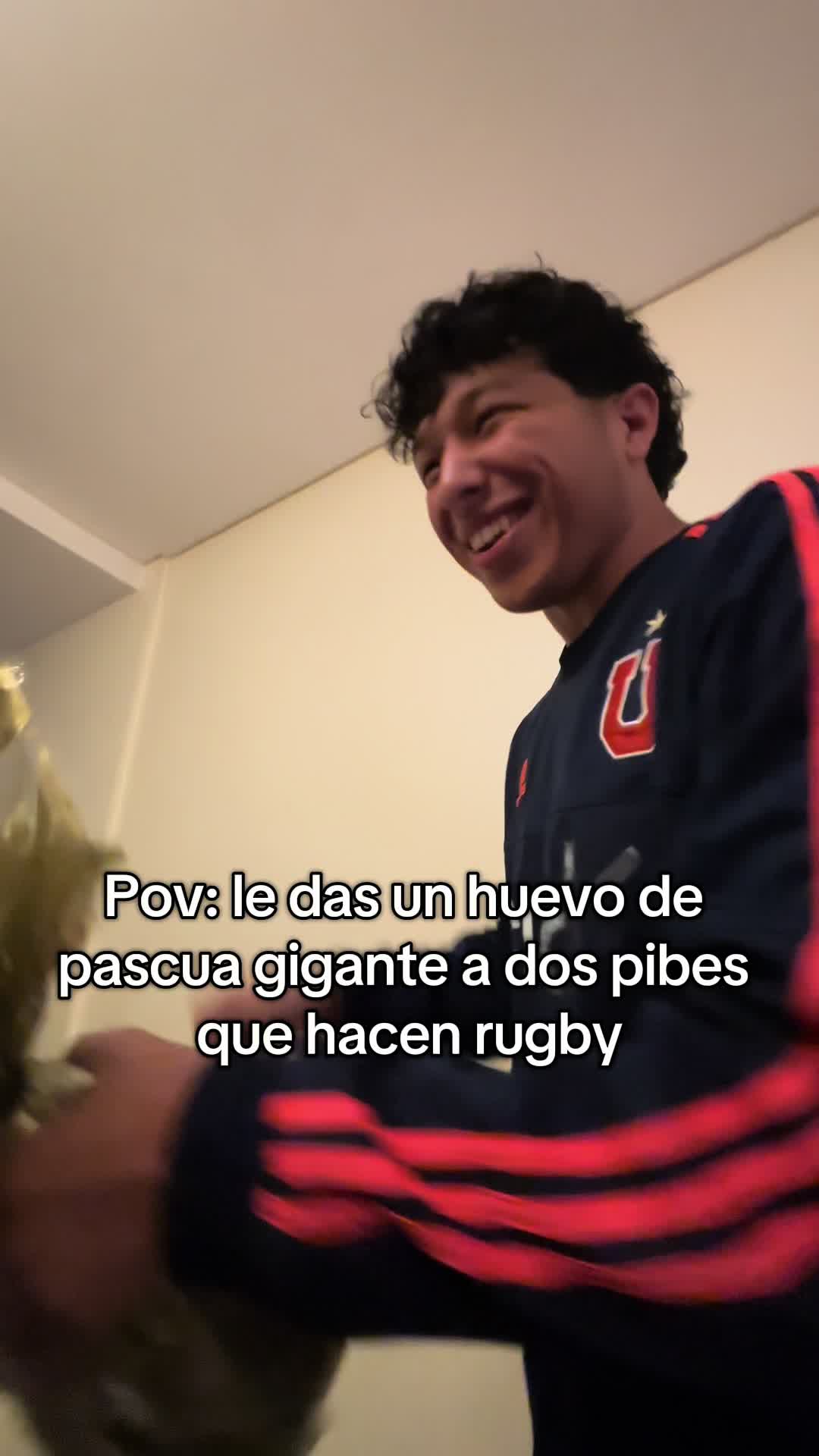 @agustinaschachtl