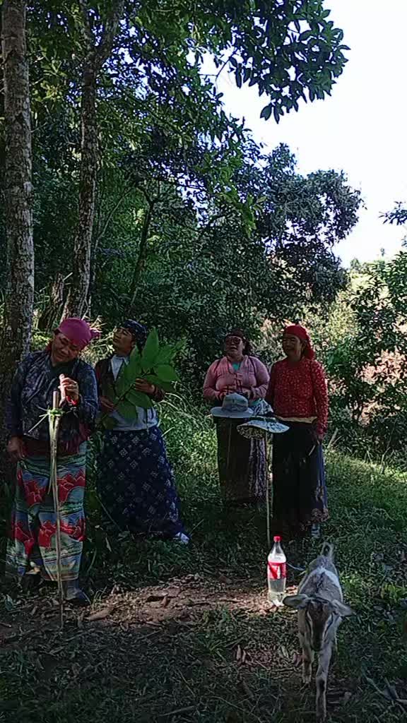 @योगिता गुरुङ