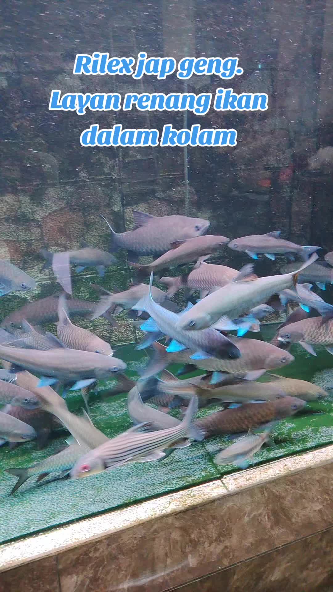 @Din_BB Aquatic