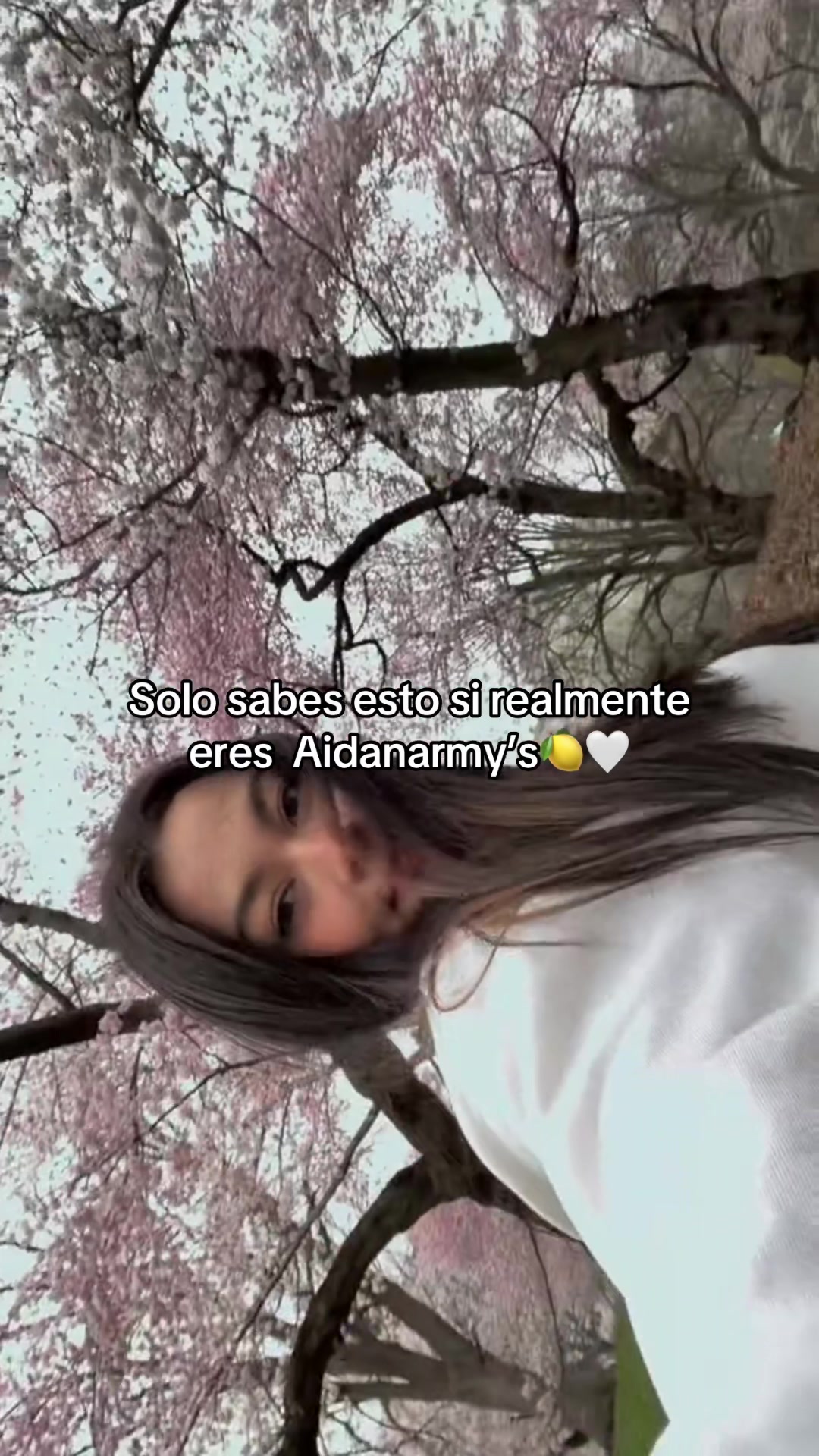 @BelaMaack