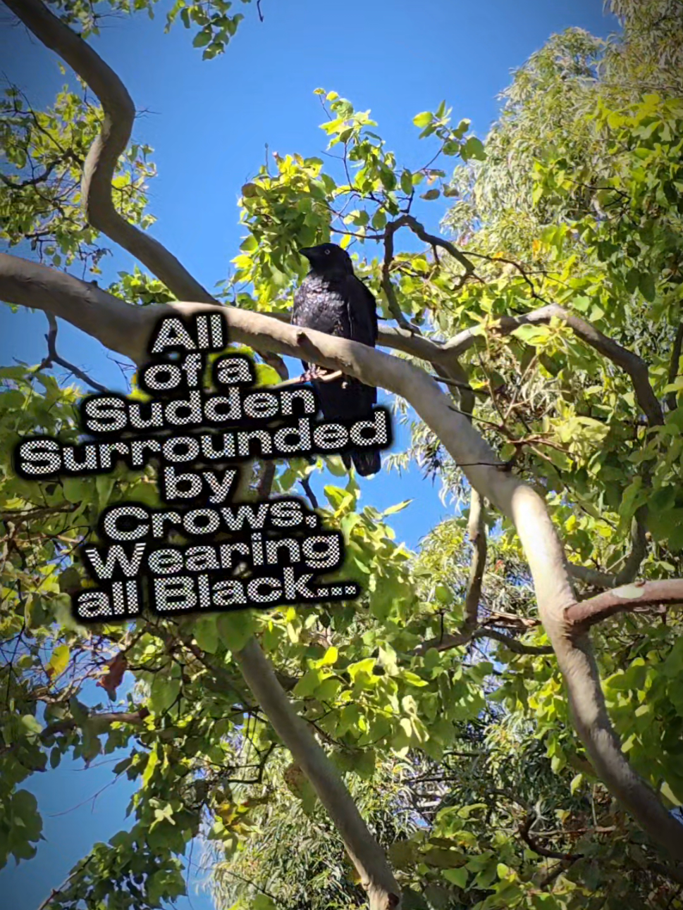 @Dark_soul_arising