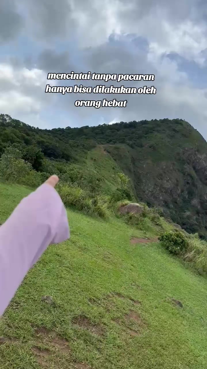 @momo🐈