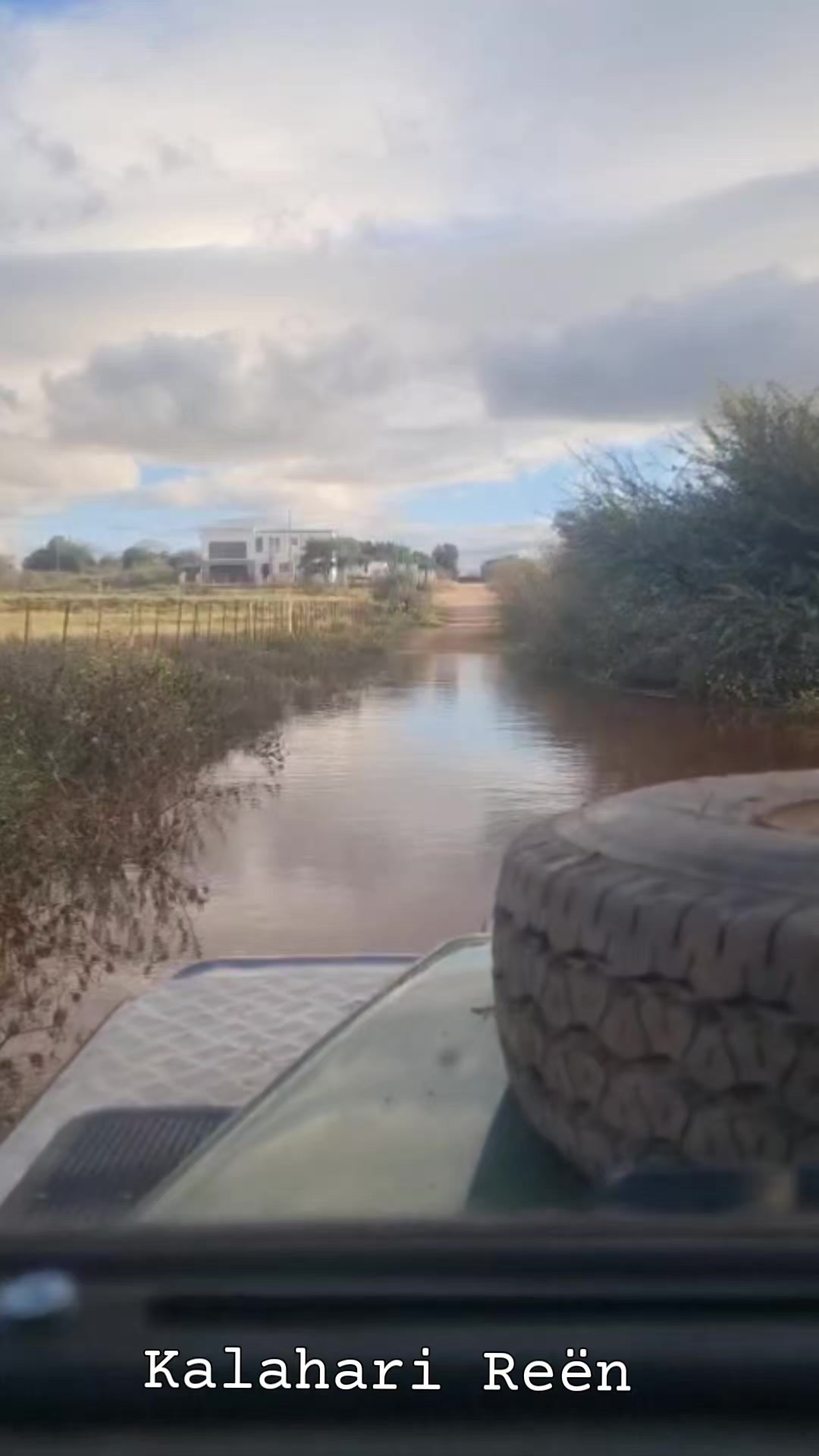 @🇿🇦DoringDraad Kalahari🇿🇦