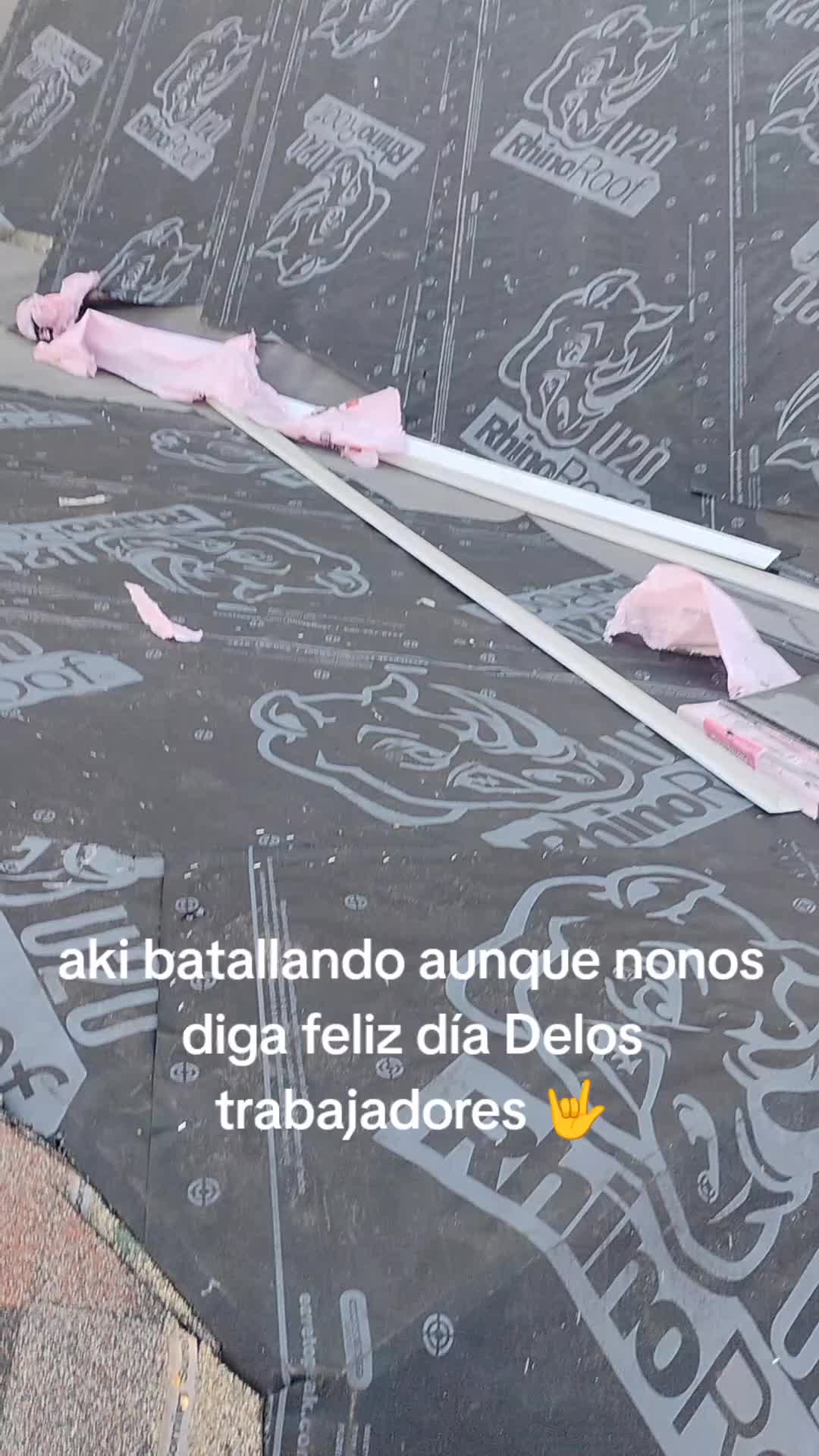 @chino lk asta la muerte