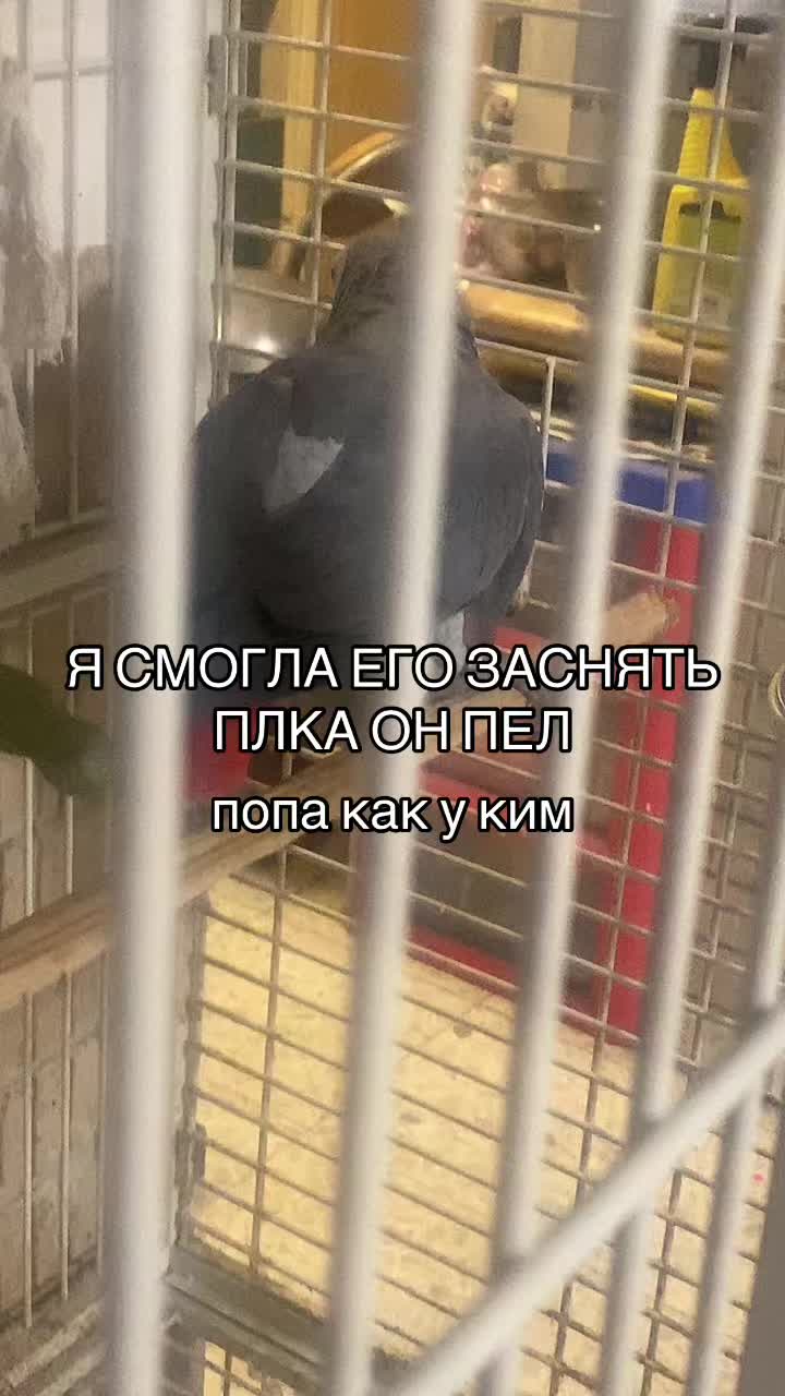 @nnof.u