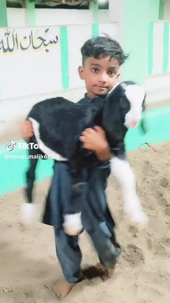 @rihan malik