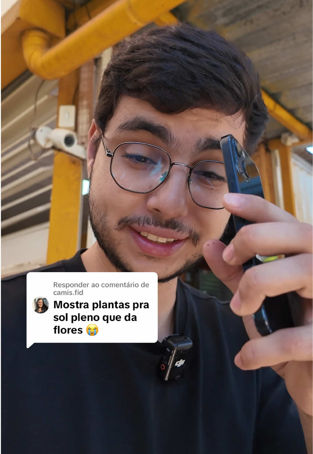 @ViveiroPauBrasil