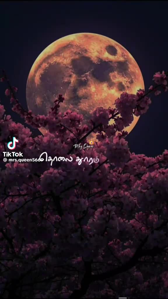 @user22567126880101