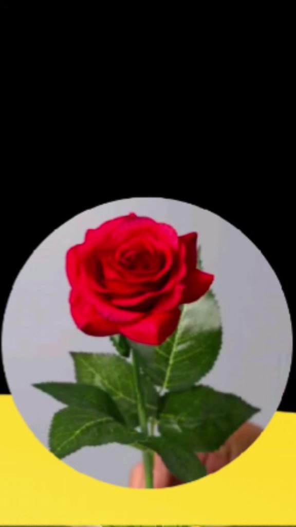 @@Nanonano🌹