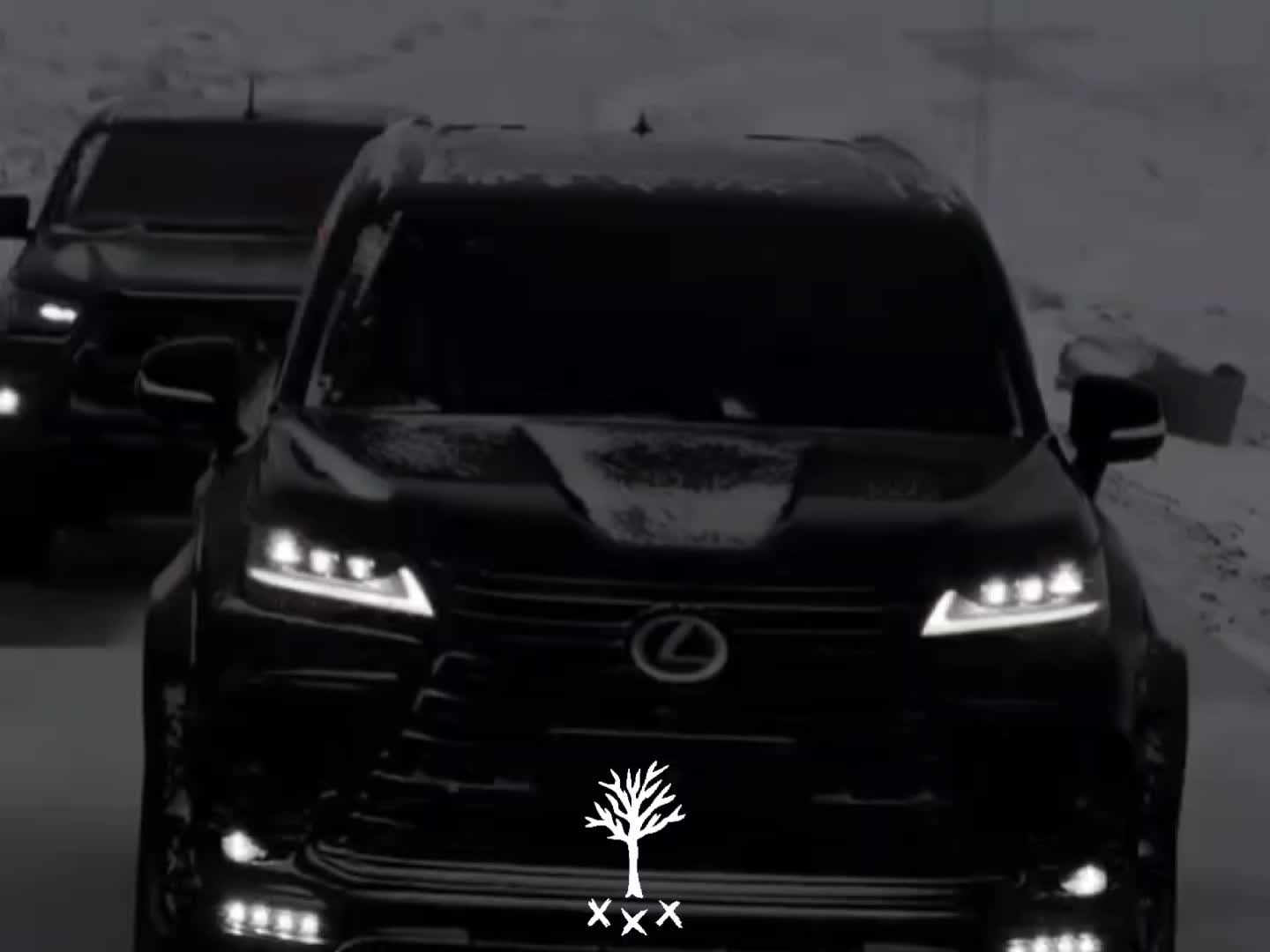 @ZZX
