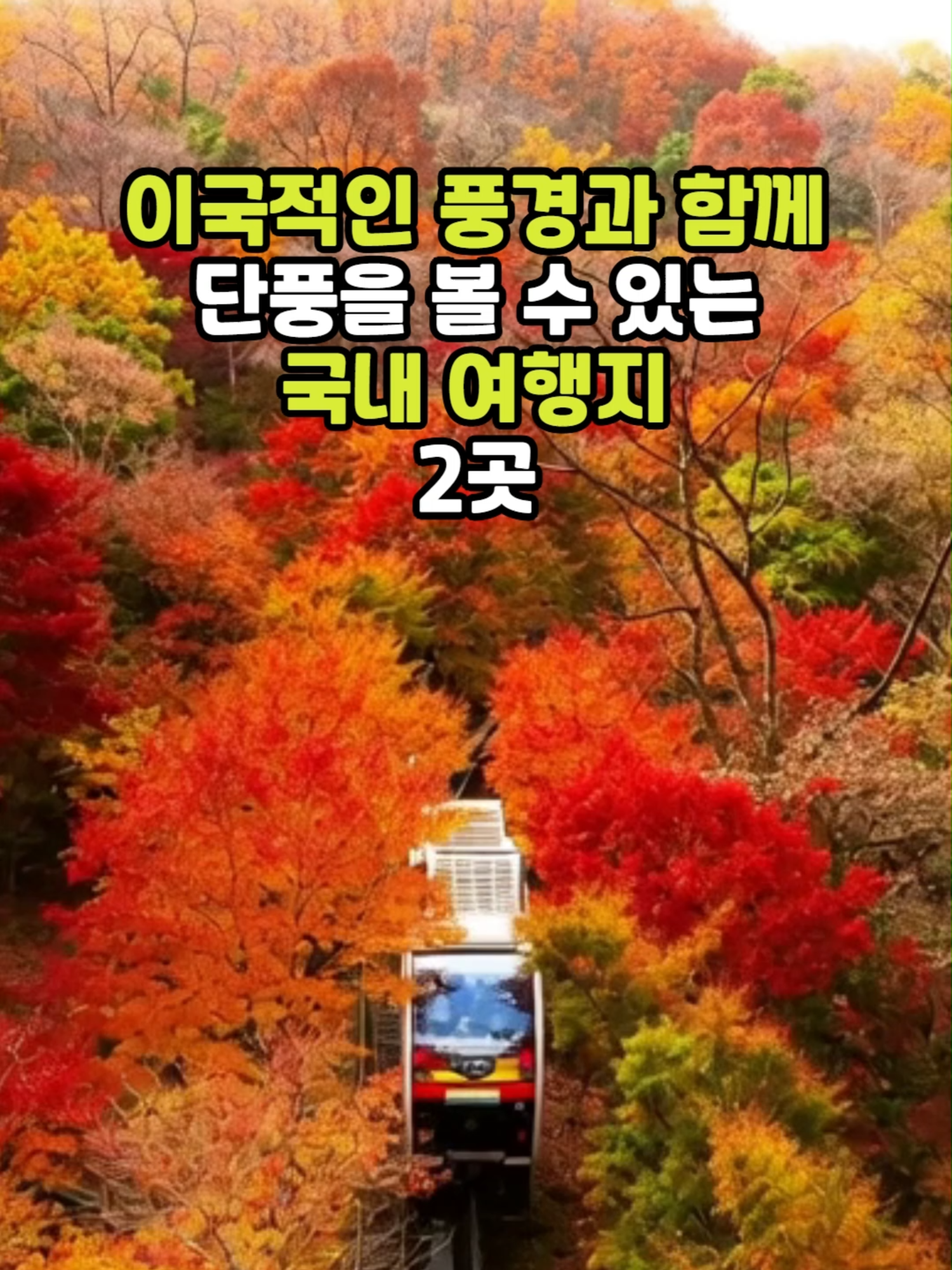 @꽃길