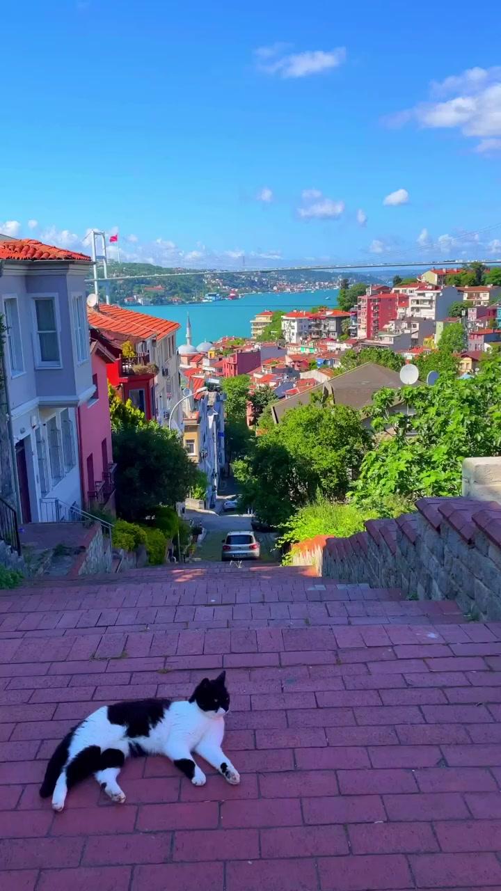 @🇹🇷AHMED🇹🇷