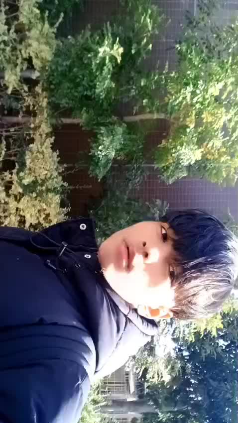 @29 January