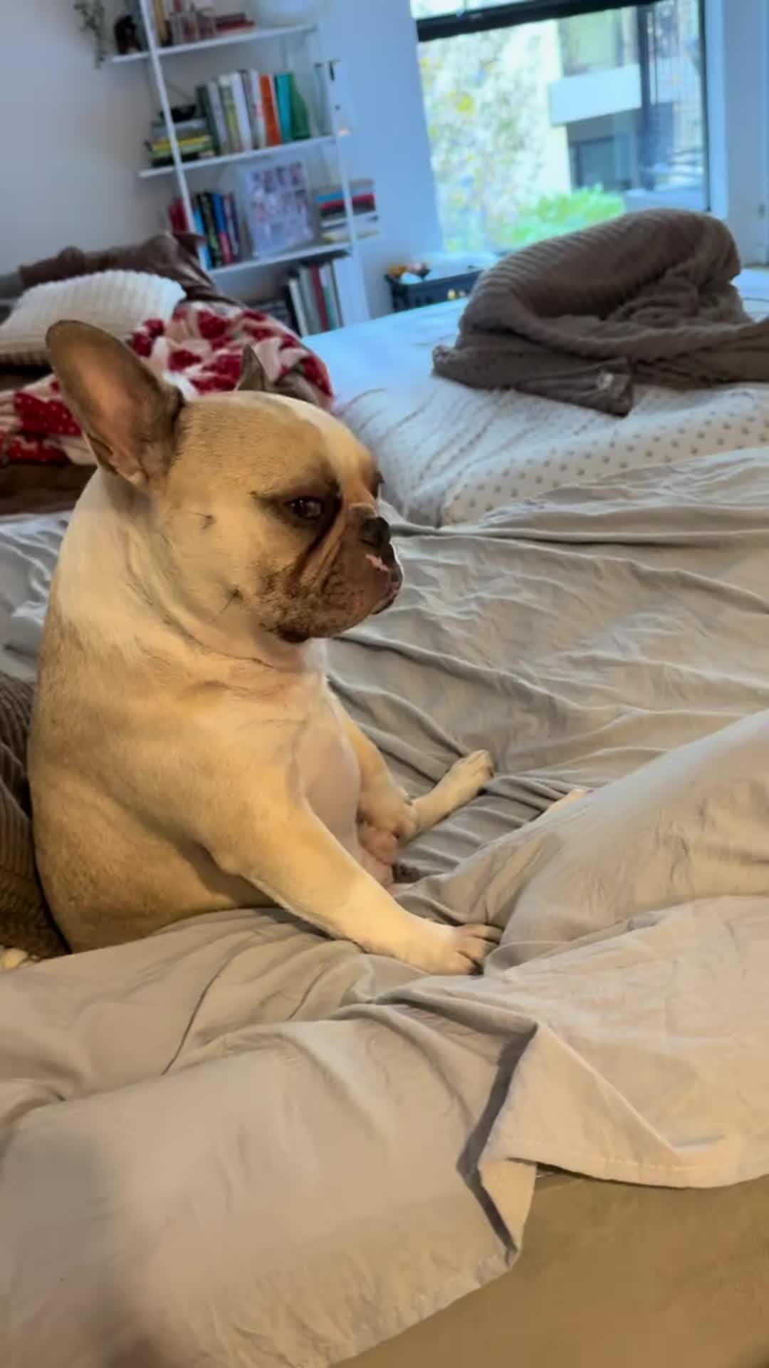 @PawblemsDaily