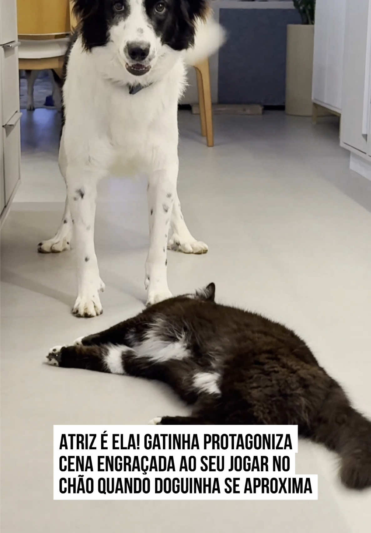 @Metrópoles Oficial