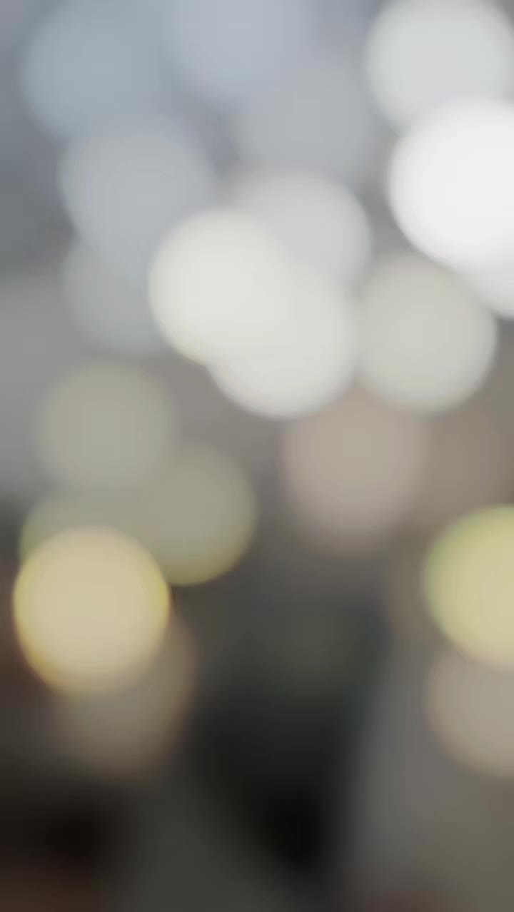 @𝙈𝙀𝙃𝘼𝙍 𝘽𝙊𝙇𝙏𝙔⚜️🐺