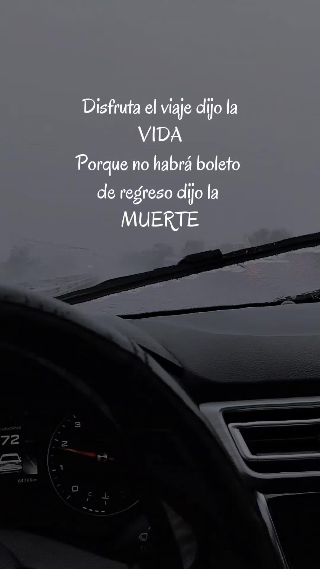 @Dotor Mamer