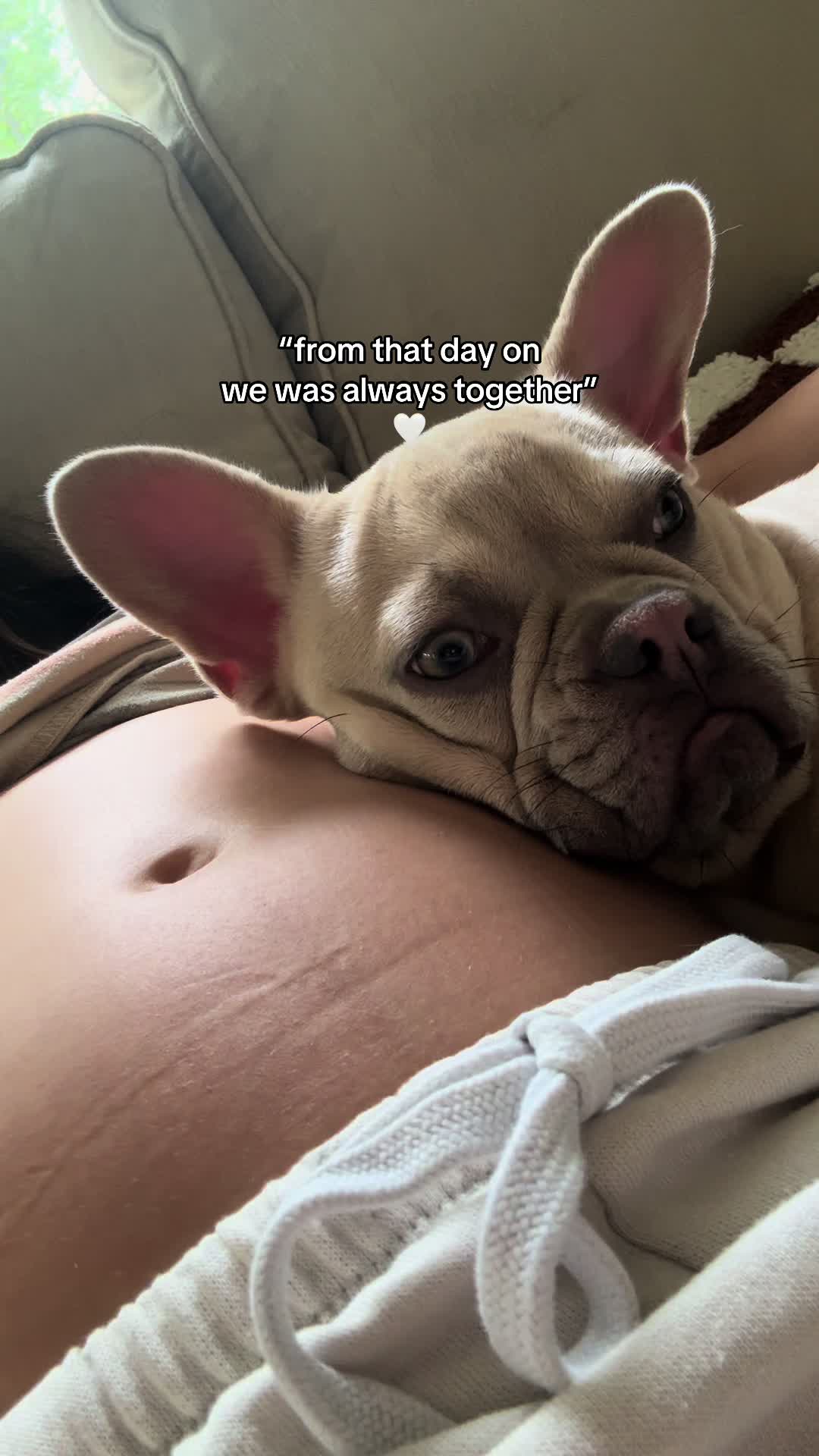 @Winston & Charlie 🐾
